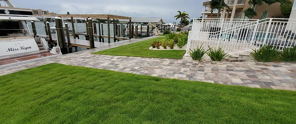 Freshly laid beautiful green sod on home lawn near docks in Greater Tampa Bay area, .