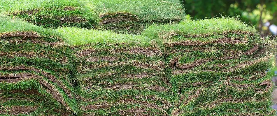 Stacks of fresh sod to be installed at a commercial property in , .
